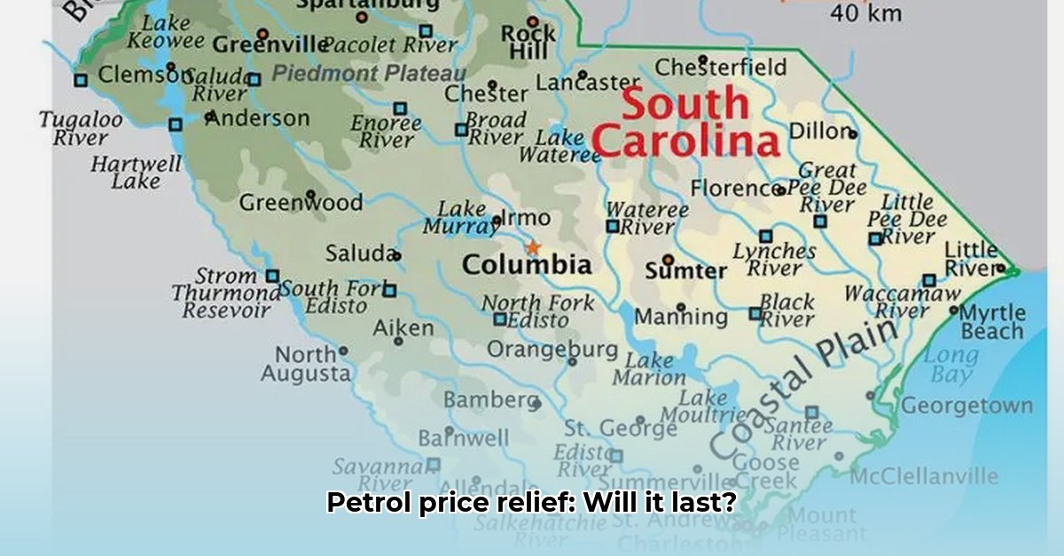 south-africa-petrol-price-relief